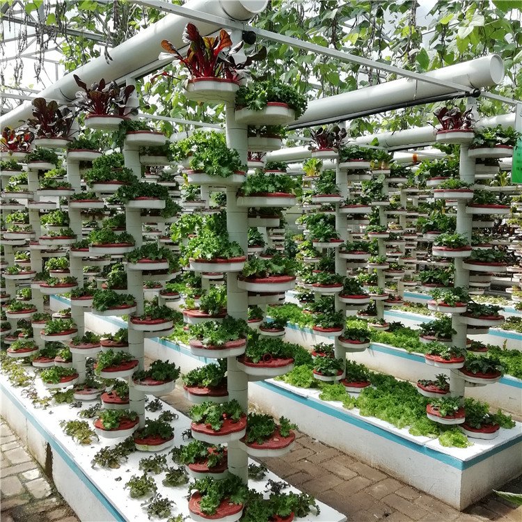 無(wú)土栽培，無(wú)土栽培技術(shù)，無(wú)土栽培設(shè)備