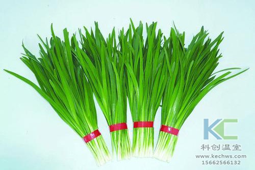 無土栽培，無土栽培技術，無土栽培設備