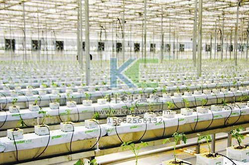 無土栽培，無土栽培技術(shù)，無土栽培設(shè)備