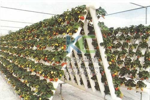 無土栽培，無土栽培技術(shù)，無土栽培設(shè)備