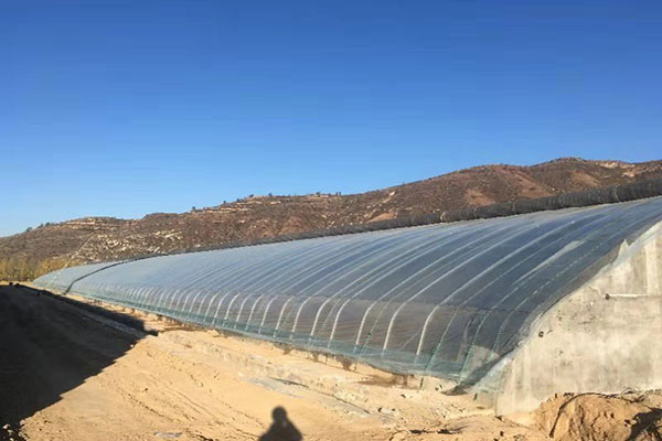 無土栽培，無土栽培技術(shù)，無土栽培設(shè)備