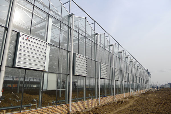 無土栽培，無土栽培技術，無土栽培設備