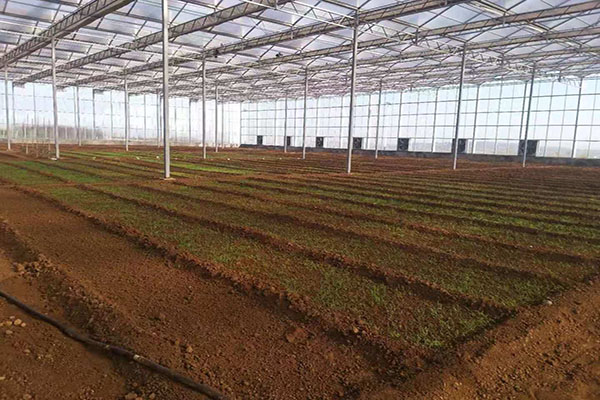 無(wú)土栽培，無(wú)土栽培技術(shù)，無(wú)土栽培設(shè)備